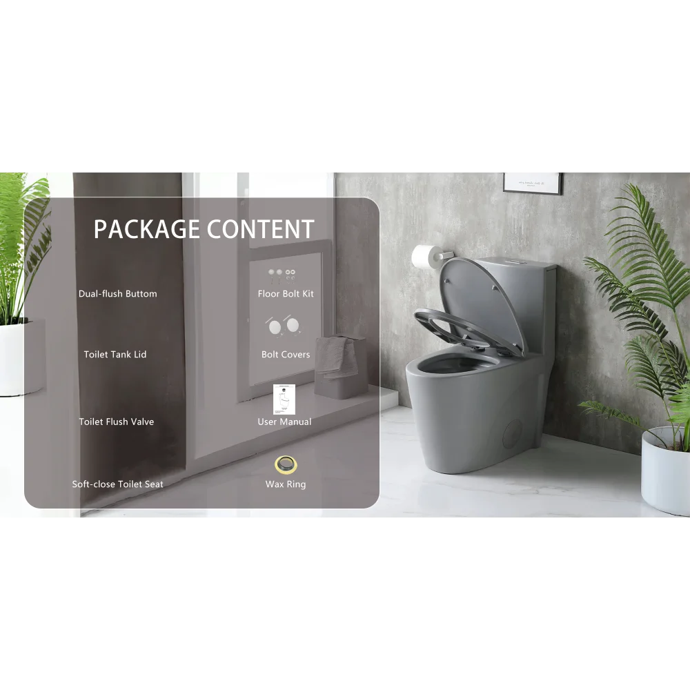 Dual-Flush One Piece Toilet, Water-Saving Elongated Ohberri