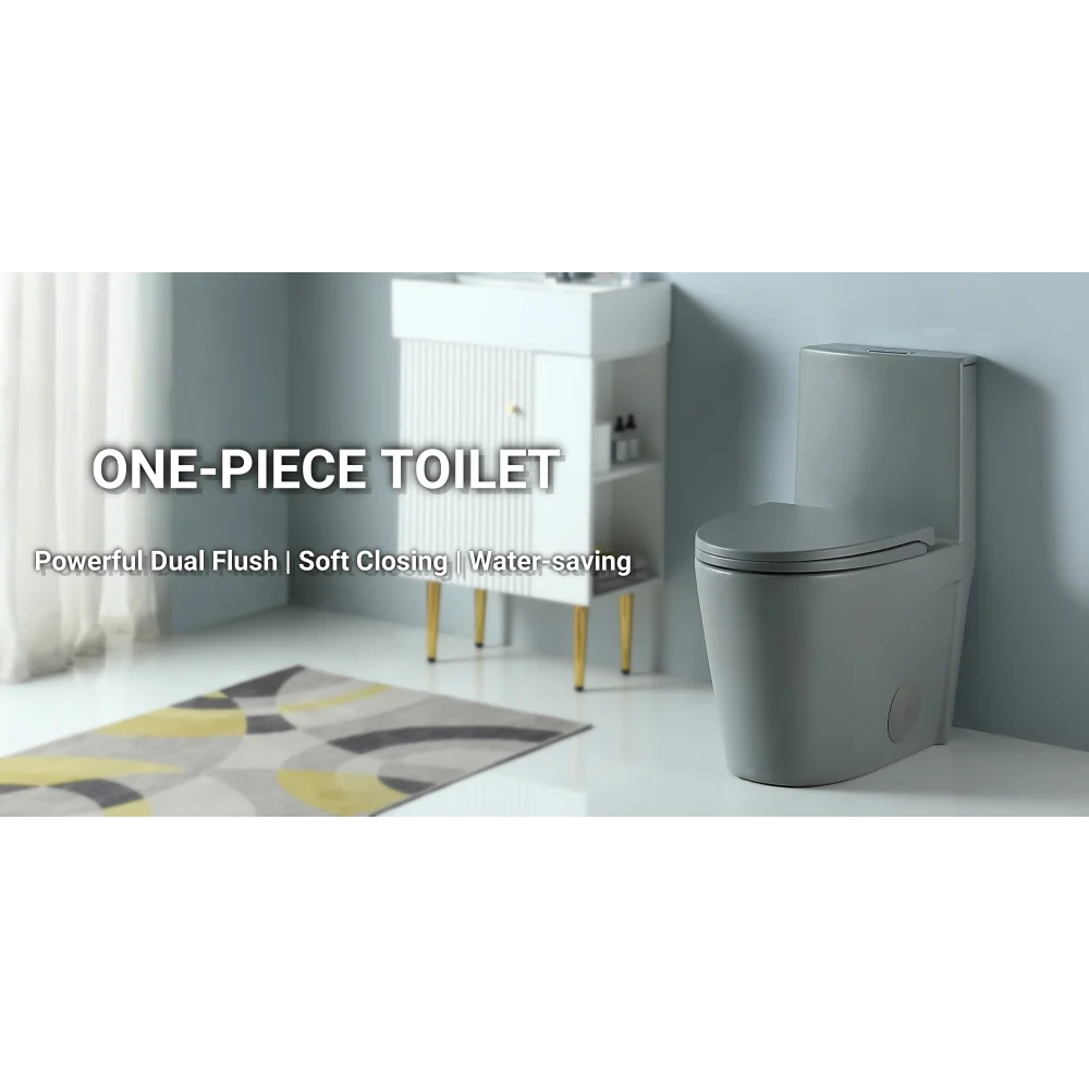 Dual-Flush One Piece Toilet, Water-Saving Elongated Ohberri