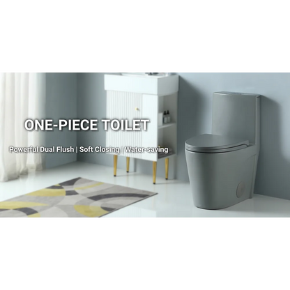 Dual-Flush One Piece Toilet, Water-Saving Elongated Ohberri