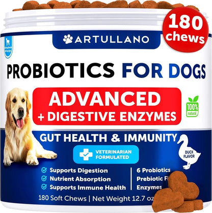 Support Gut Health Itchy Skin Allergies Immunity Yeast Balance Dog Probiotics -180 Probiotic Chews My Store