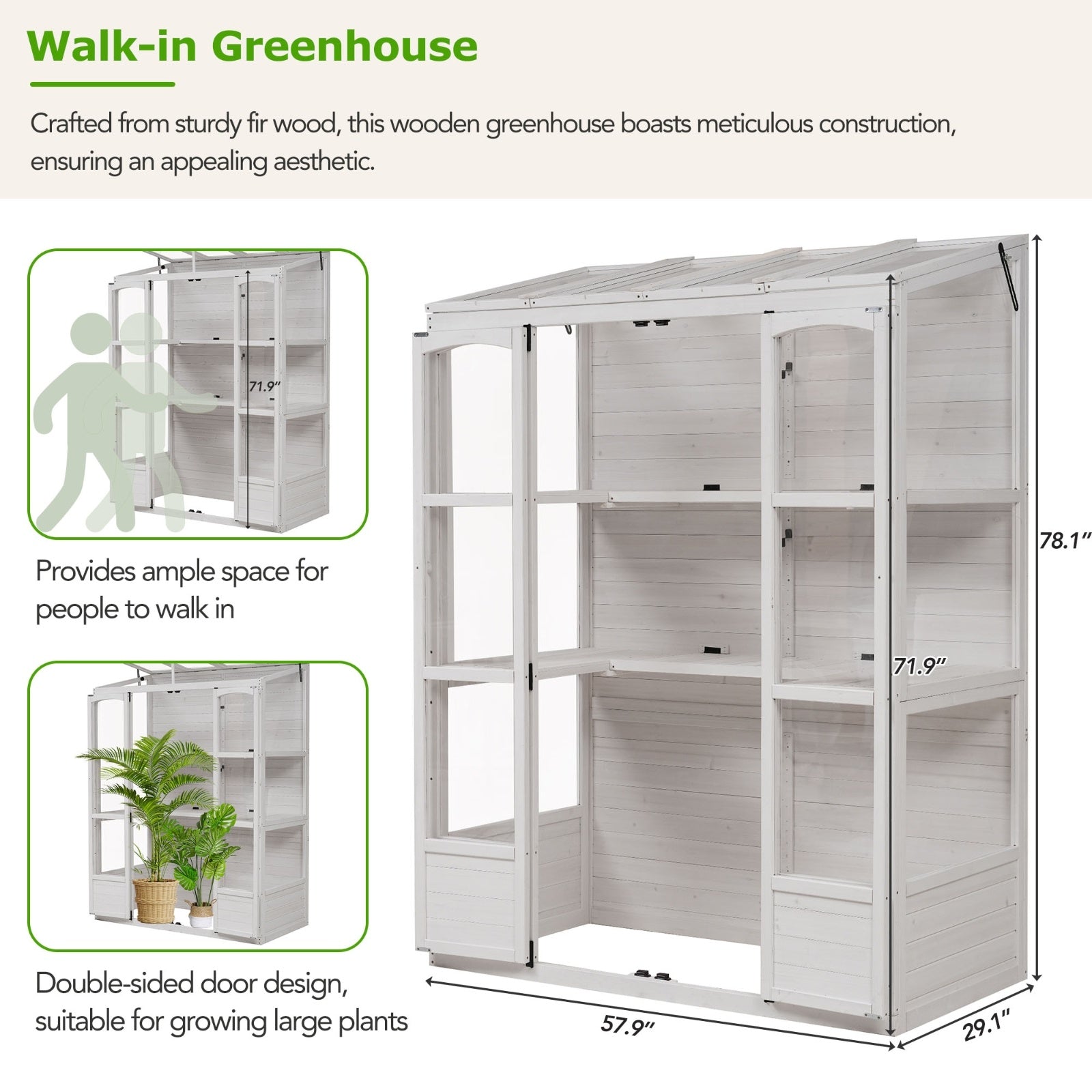78-inch Wooden Greenhouse Cold Frame With 4 Independent Skylights And 2 Folding Middle Shelve My Store