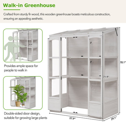 78-inch Wooden Greenhouse Cold Frame With 4 Independent Skylights And 2 Folding Middle Shelve My Store