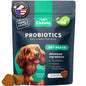 Gut Health Immunity Yeast Balance Itchy Skin Allergies Probiotics And Digestive Enzymes -180 Probiotic Chews For Dogs My Store
