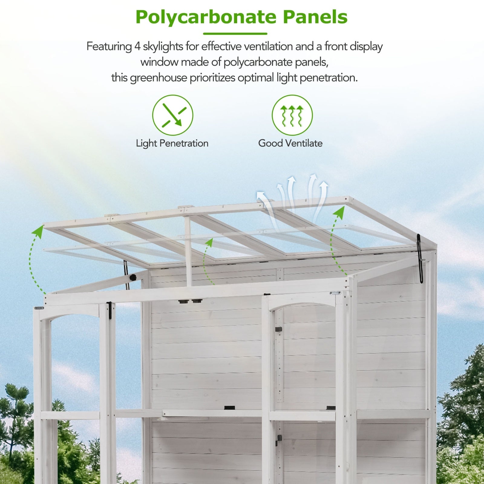 78-inch Wooden Greenhouse Cold Frame With 4 Independent Skylights And 2 Folding Middle Shelve My Store