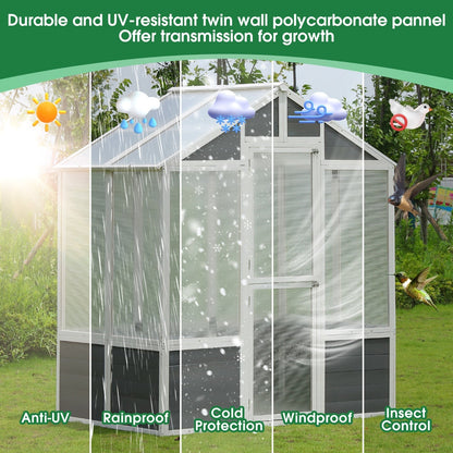 76x48x86Walk In Polycarbonate Greenhouse My Store