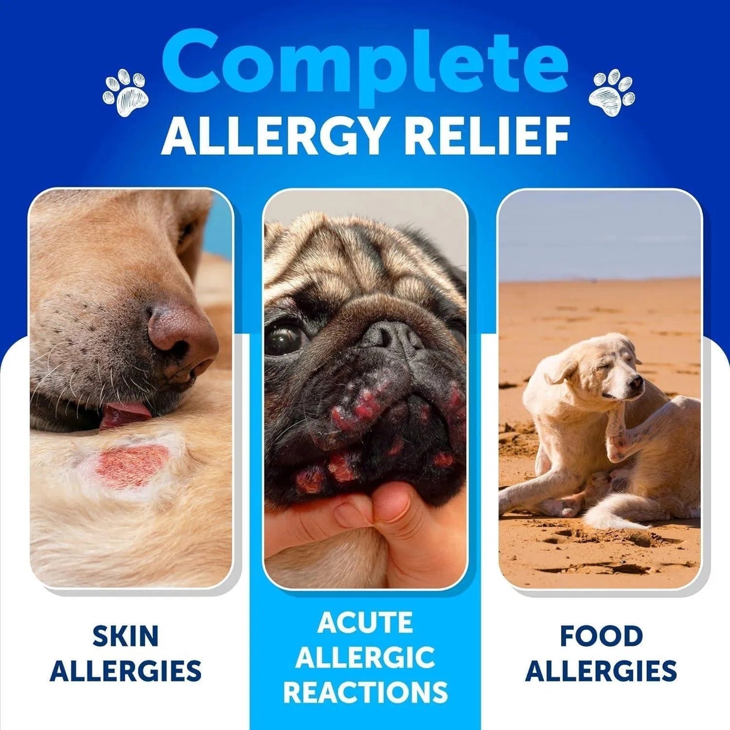 Allergy Relief Chews Itching Skin Relief For Dogs Fish Oil 3 Seasonal Allergies Pills Skin & Coat- 120 Soft Treats My Store