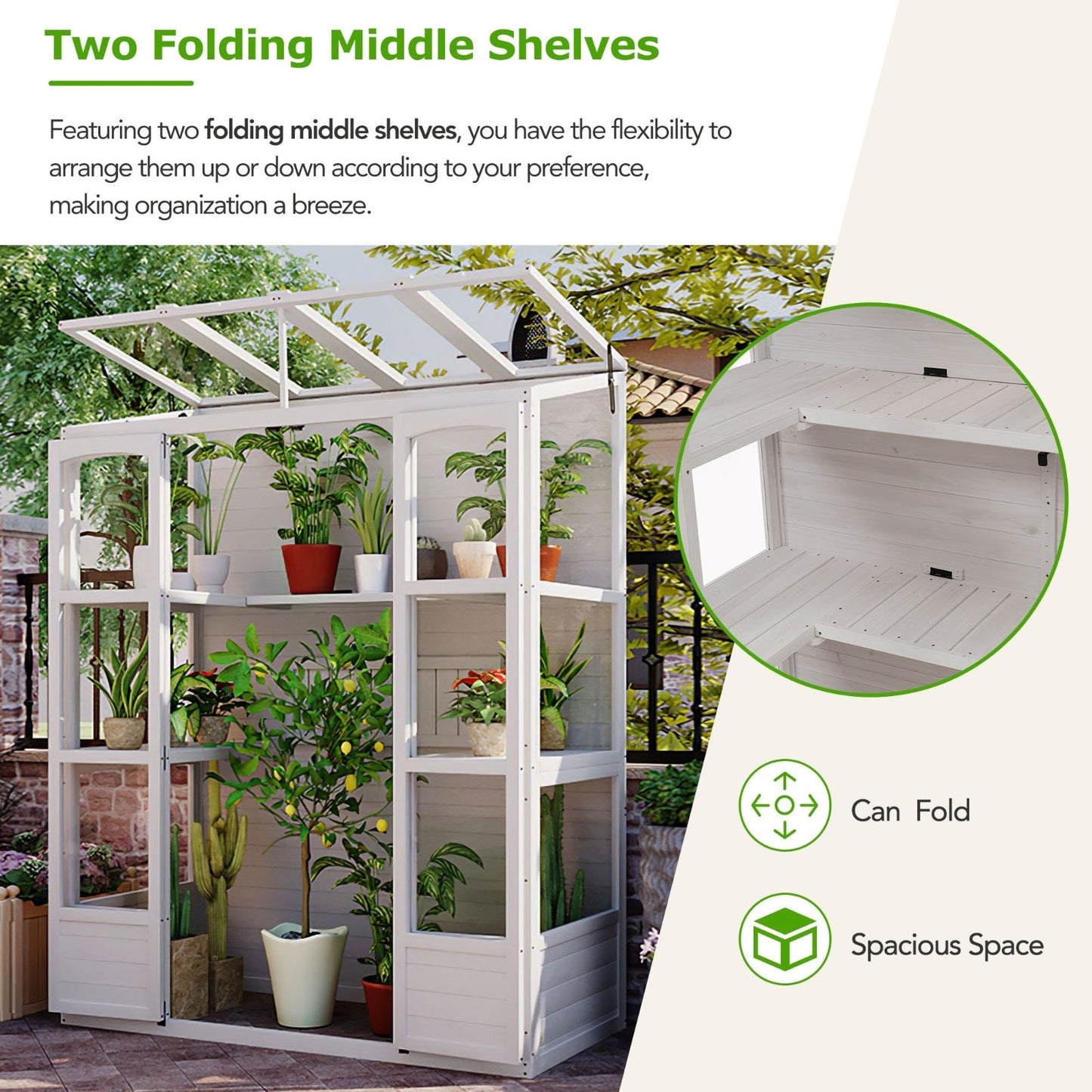 78-inch Wooden Greenhouse Cold Frame With 4 Independent Skylights And 2 Folding Middle Shelve My Store